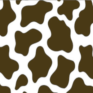 Meet your Posher, Savannah